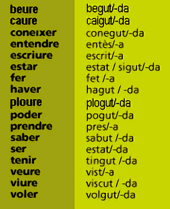 Participis